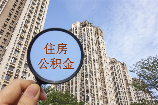 查询我的住房公积金-瑞安公积金代办平台